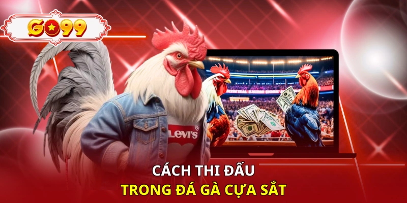 Cách thi đấu trong đá gà cựa sắt
