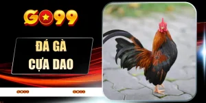 Đá Gà Cựa Dao Tại GO99 - Bùng Nổ Đam Mê Cá Cược 2026