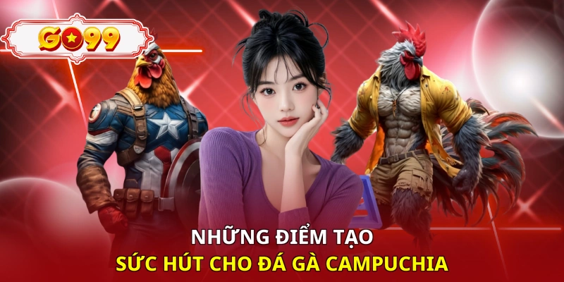 Những điểm tạo sức hút cho đá gà Campuchia