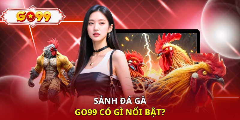 Sảnh đá gà GO99 có gì nổi bật?