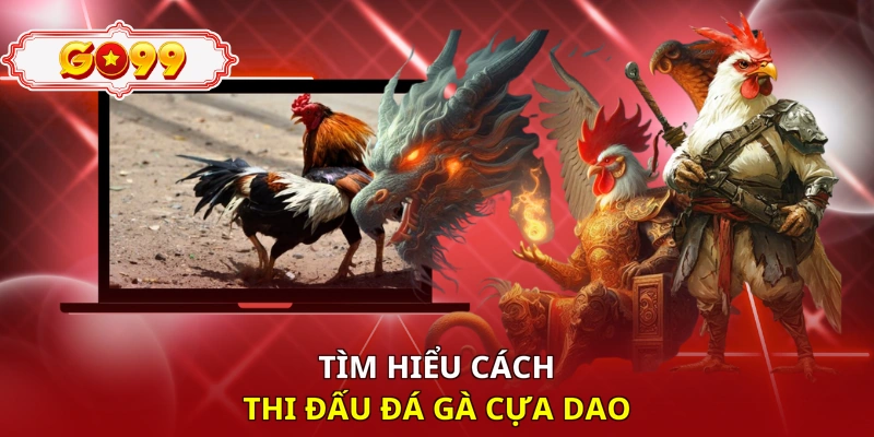 Tìm hiểu cách thi đấu đá gà cựa dao