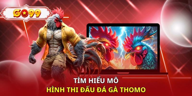 Tìm hiểu mô hình thi đấu đá gà Thomo